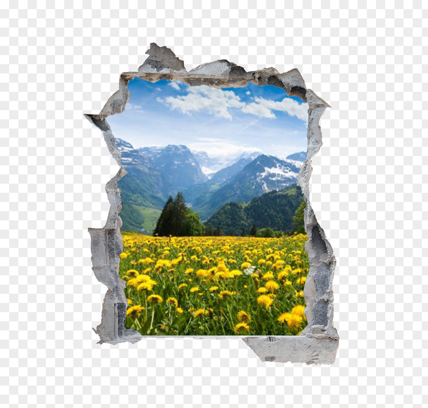 Pared Desktop Wallpaper Landscape Nature PNG
