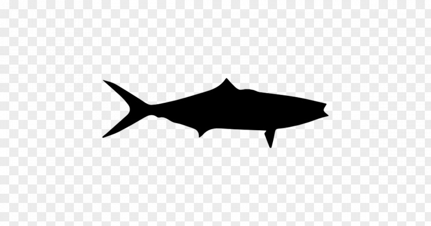 Shark Dolphin Wildlife Black M Clip Art PNG