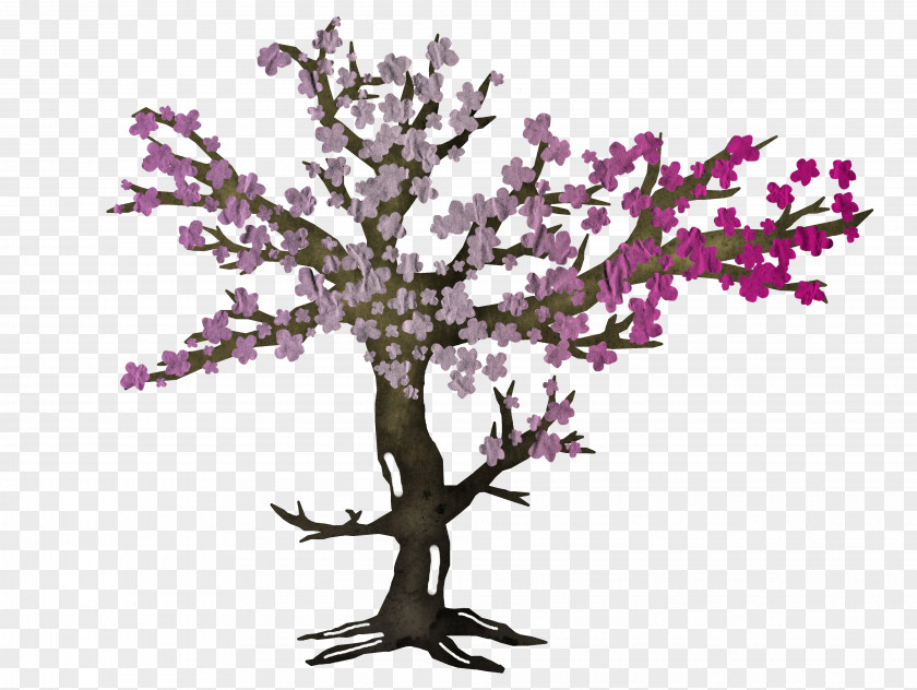 Cherry Blossom Cut Flowers Purple PNG