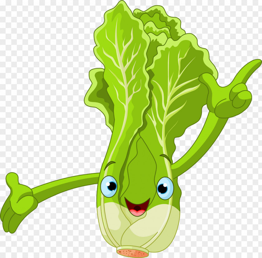 Chinese Cabbage Lettuce Cartoon Royalty-free Clip Art PNG