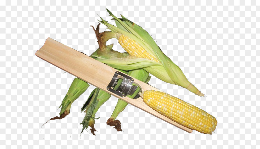 Corn On The Cob Sweet Commodity PNG