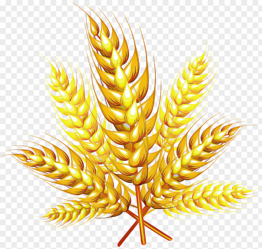 Metal Vascular Plant Wheat PNG