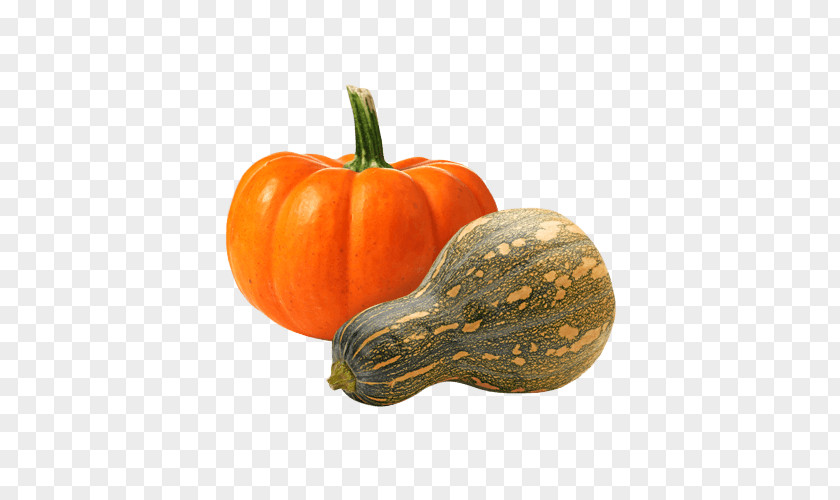 Pumpkin Risotto Gourd Carpaccio Winter Squash PNG