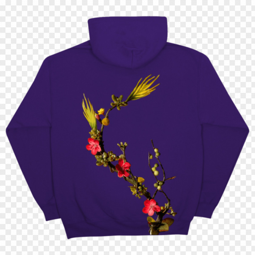 T-shirt Hoodie Rodeo Birds In The Trap Sing McKnight 0 PNG