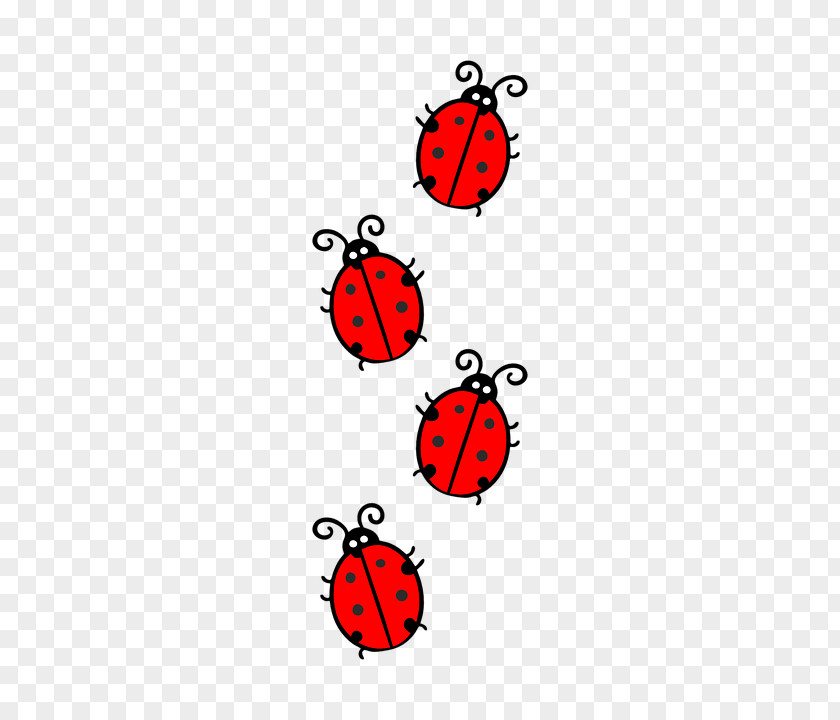 Cartoon Ladybug Ladybird PNG
