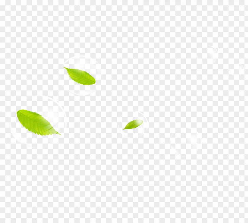 Leaf Drops Green Area Angle Pattern PNG