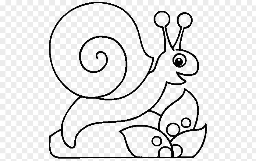 Snails Coloring Book Sea Snail Child PNG