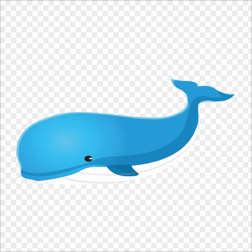 Whale Right Whales Blue PNG