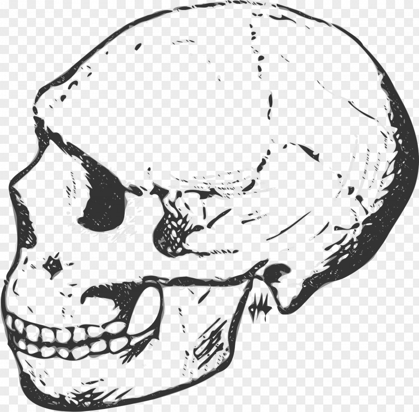 Skull Clip Art PNG