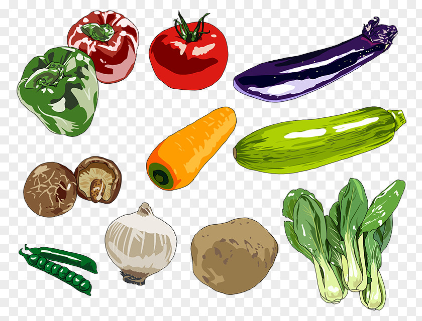 Vegetable Food Drawing Digital Painting Art PNG