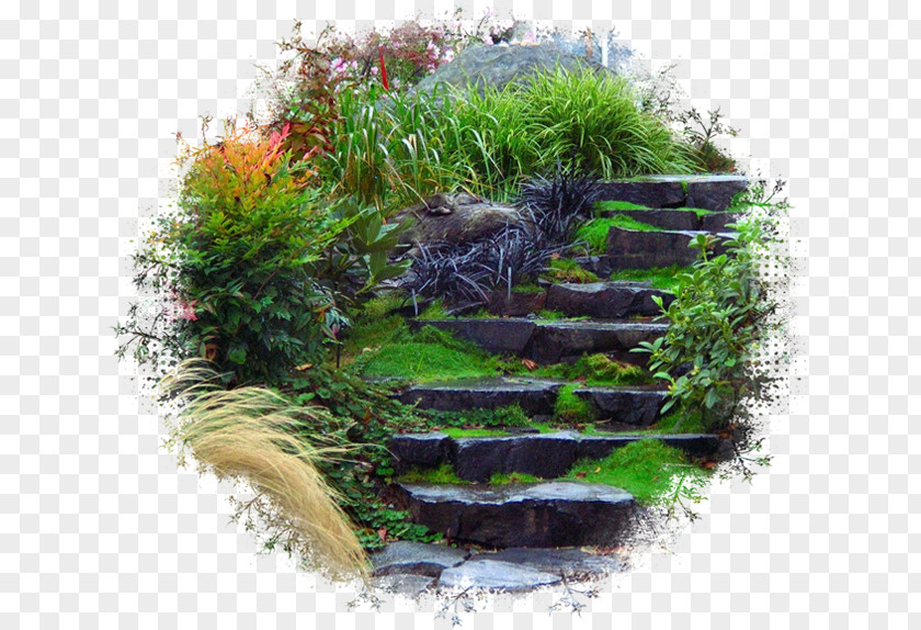 Design Landscape Garden Staircases Photography PNG