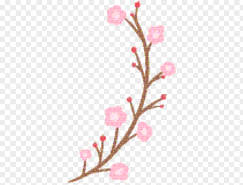 Pedicel Plant Stem Cherry Blossom Background PNG