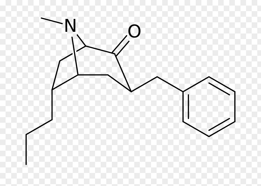 Analog Acid Disodium Pyrophosphate Benzyl Group Protecting PNG