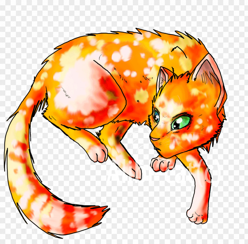 Cat Whiskers Tabby Paw Erin Hunter PNG
