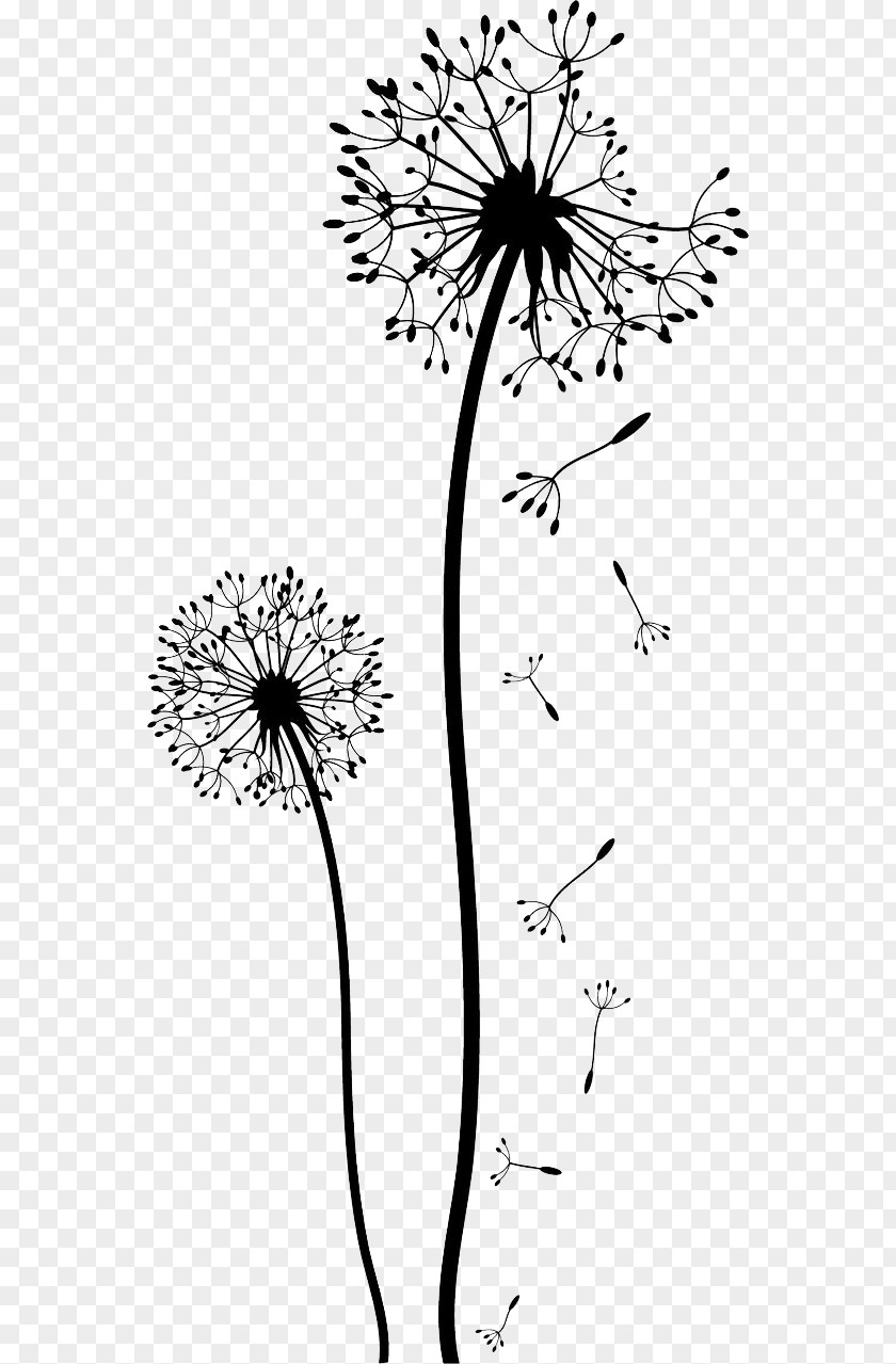 Free Falling Dandelion Pull Material White Painting (Three Panel) Drawing Pissenlit Clip Art PNG