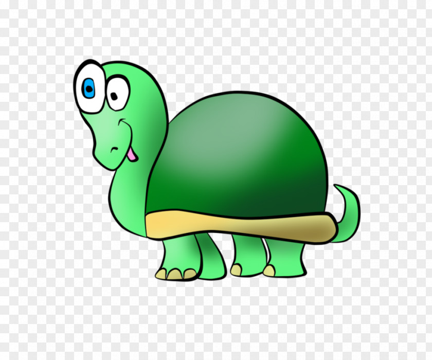 Practice Day Tortoise Cartoon Terrestrial Animal Clip Art PNG