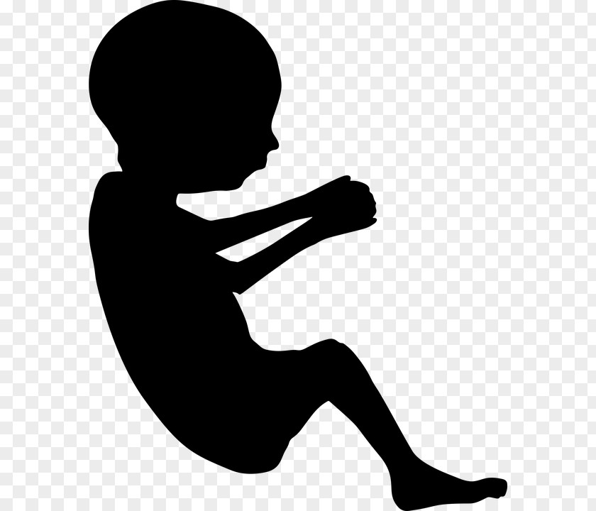 Pregnancy Fetus Infant Clip Art PNG