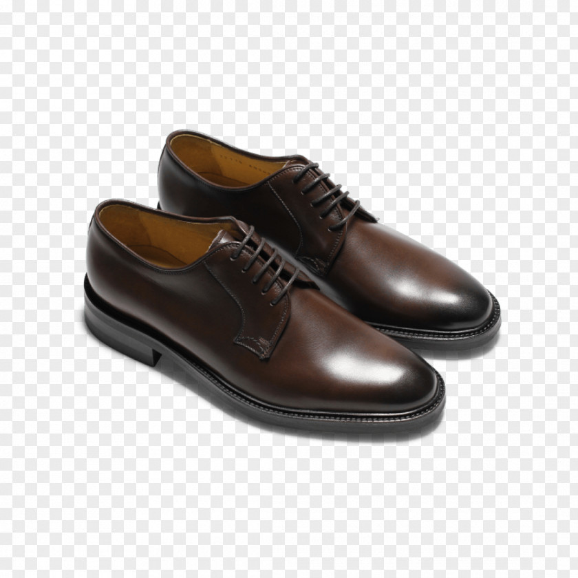 Brown Oxford Shoe Leather Derby Brogue PNG