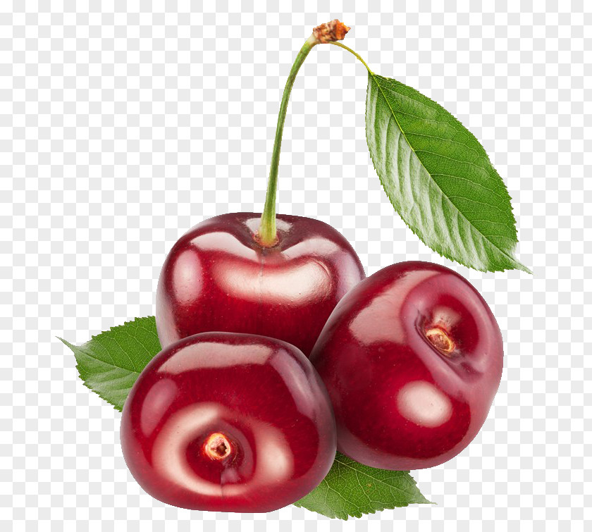 Cherry Berry Sweet Cerasus PNG