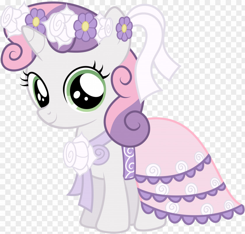 Dress Sweetie Belle Pony Rainbow Dash Rarity PNG