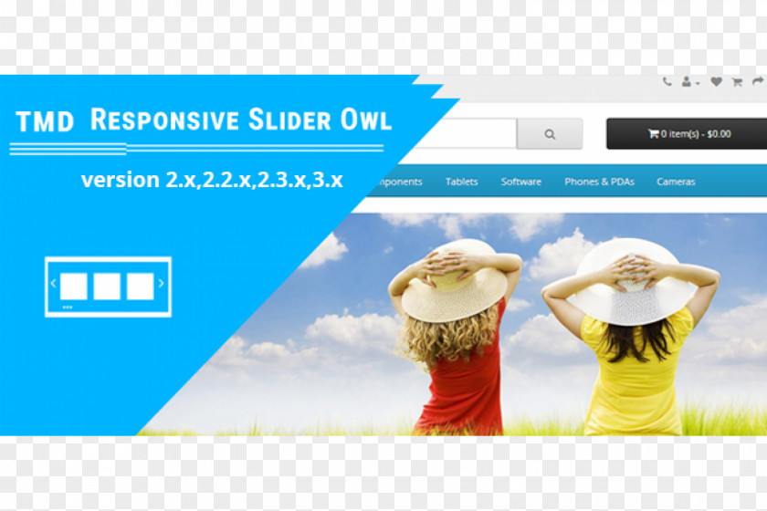 Indian Scops Owl Desktop Wallpaper High-definition Television LCD PNG