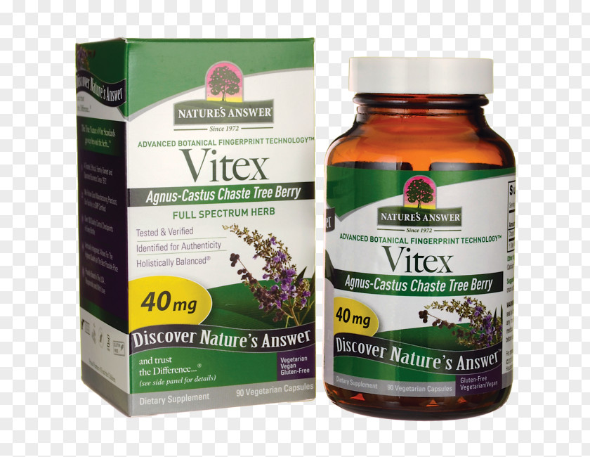 Vitex Dietary Supplement Chaste Tree Capsule Vegetarian Cuisine Nature PNG