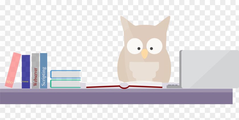 Owl Drawing Cartoon PNG