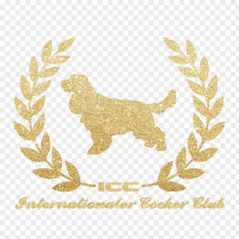 Award International Film Festival Of India Southern Utah Documentary PNG