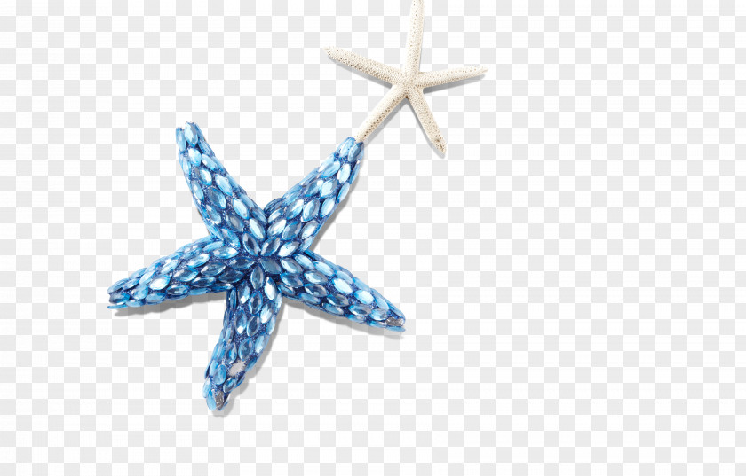 Blue White Five-pointed Star Starfish, Shellfish, Marine Seashell Starfish PNG
