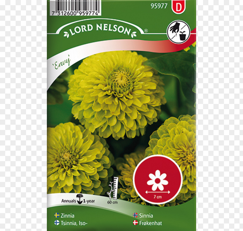 Kale Seed Flower Всхожесть семян Yellow PNG