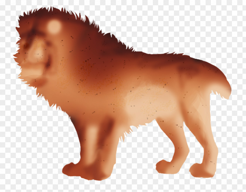 Lion Dog Big Cat Animal PNG