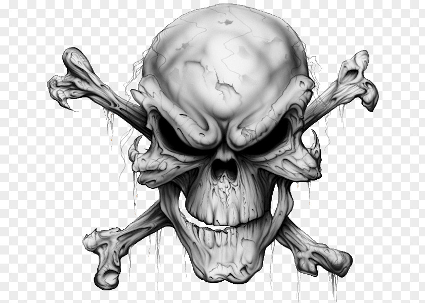Transparent Skull And Crossbones Background Tattoo Human Symbolism PNG