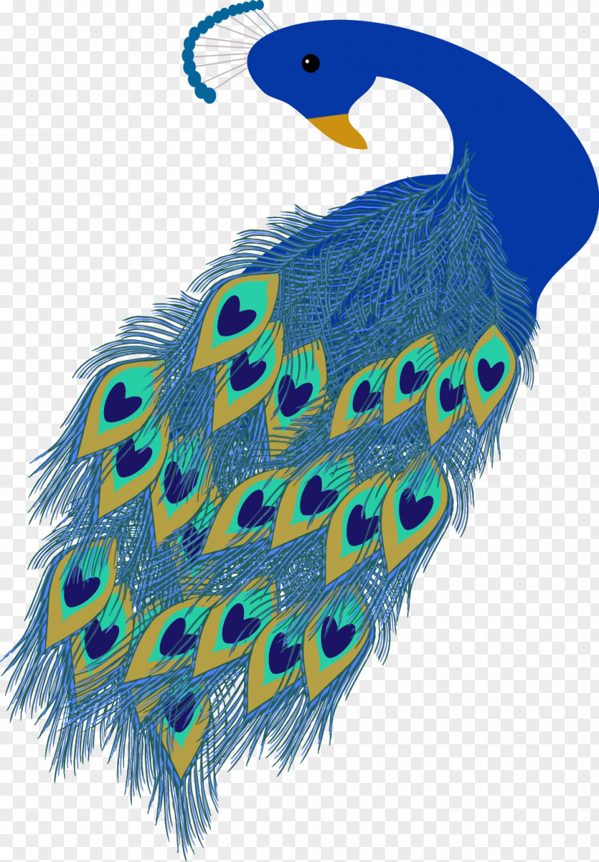 Vector Hand-painted Peacock Wedding Invitation Peafowl Mothers Day Clip Art PNG