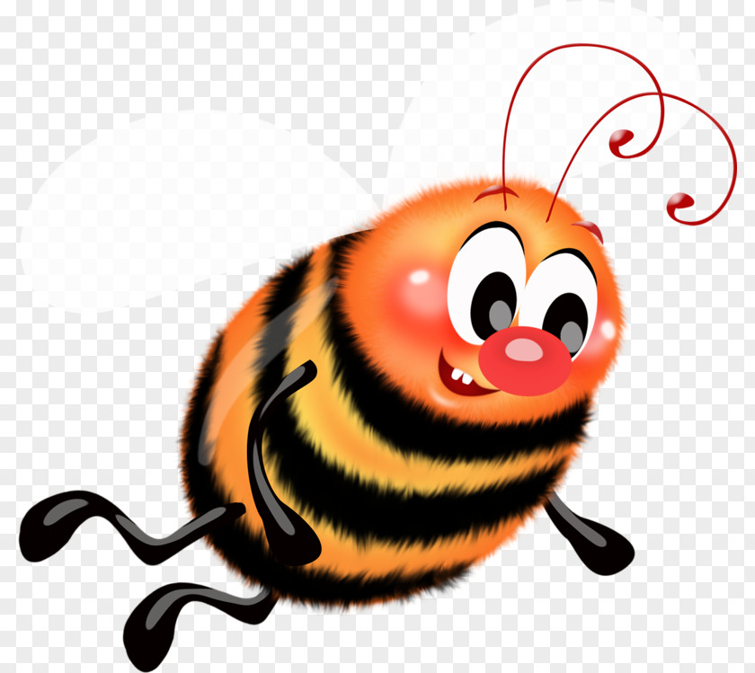 Bee Ladybird Beetle Insect Western Honey Bumblebee PNG