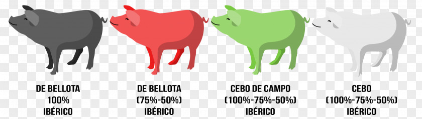 Ham Black Iberian Pig Duroc Jamón Ibérico Tapas PNG