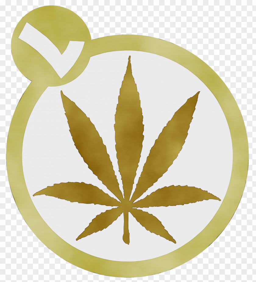 Hemp Family Cannabis Leaf Background PNG