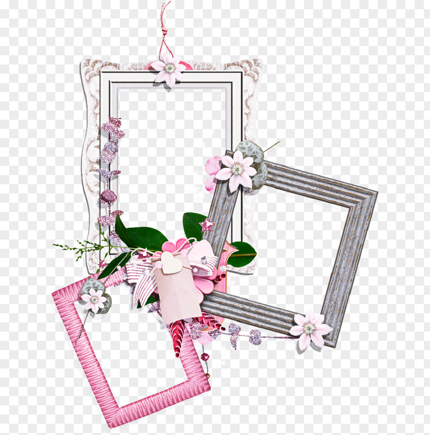 Holiday Ornament Interior Design Pink Flower Frame PNG