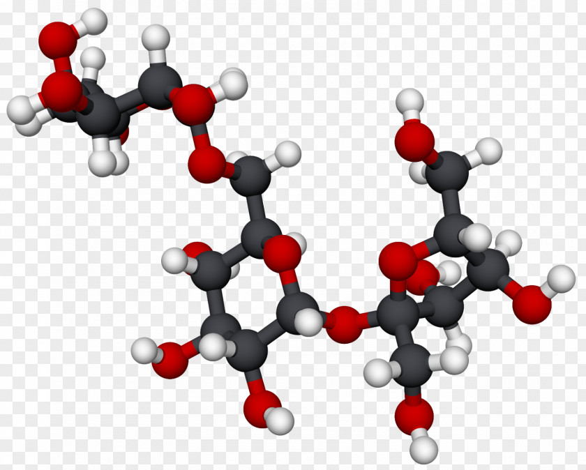 Molecular Structure Raffinose Galactose Molecule Monosaccharide Stachyose PNG