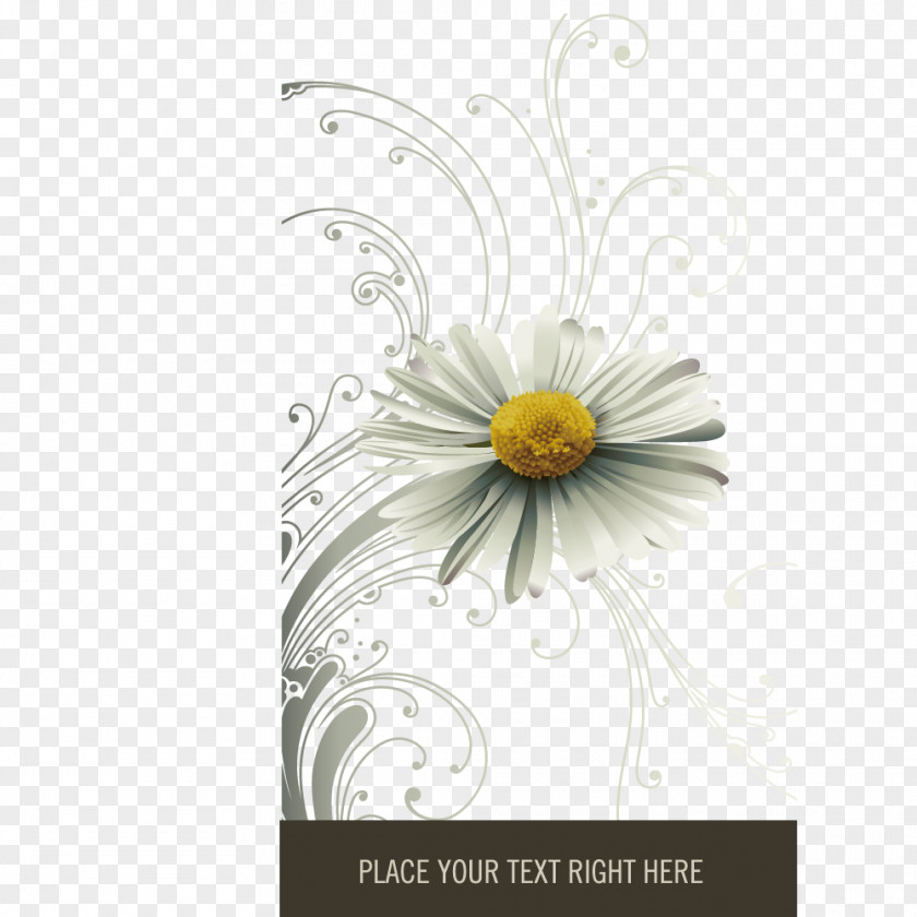 Chrysanthemum Decorative Patterns Motif Google Images Clip Art PNG
