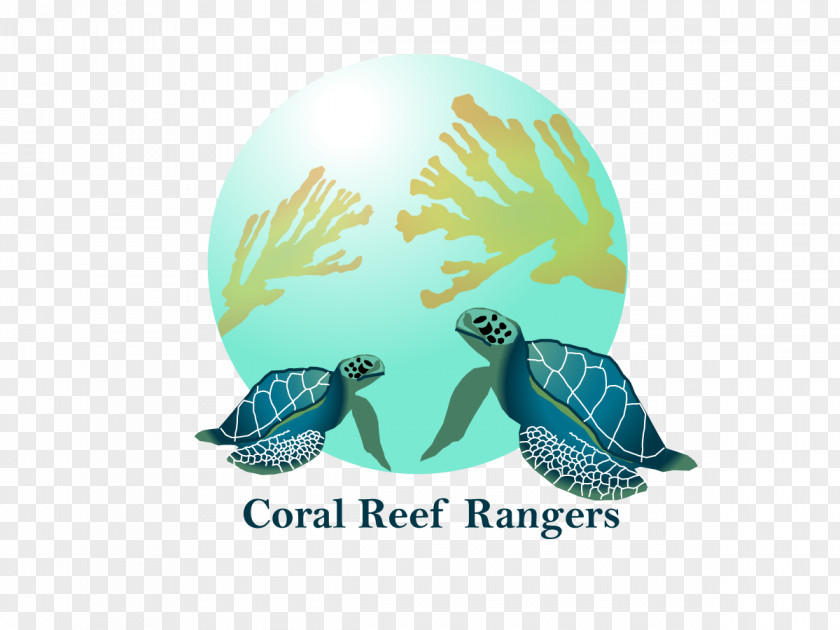 Coral Reef Sea Turtle Marine Biology Turquoise PNG