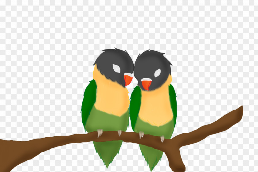Love Birds Yellow-collared Lovebird Parrot Drawing Painting PNG
