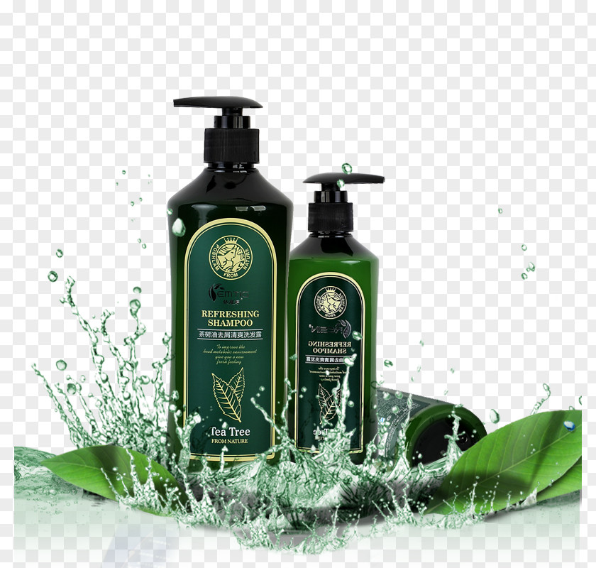 Tea Tree Oil Anti-Dandruff Shampoo Refreshing PNG
