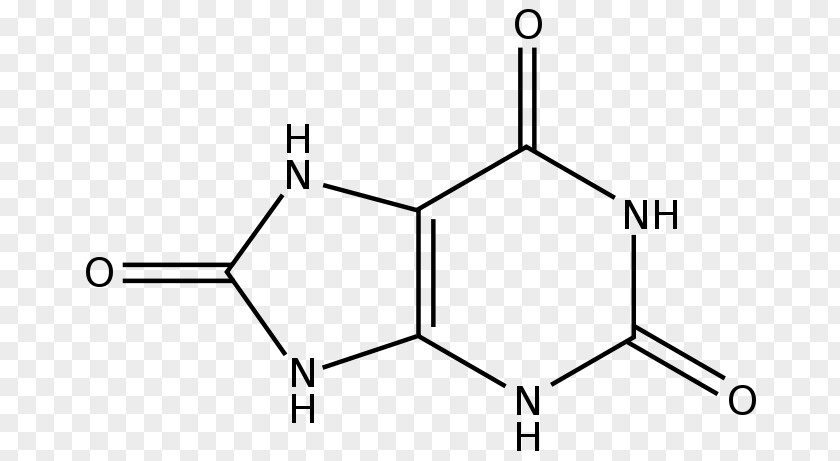 Uric Acid Urate Oxidase Purine Allantoin PNG