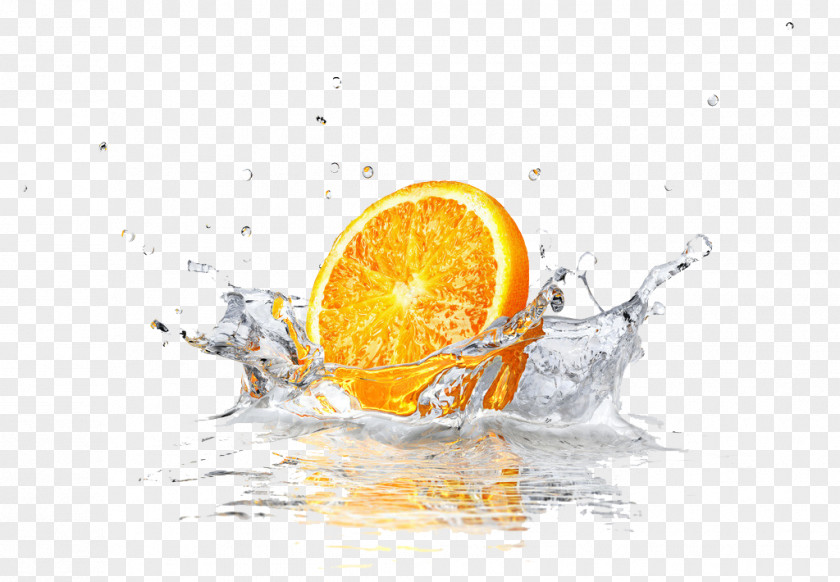Water Orange Juice Lemon Squeezer PNG