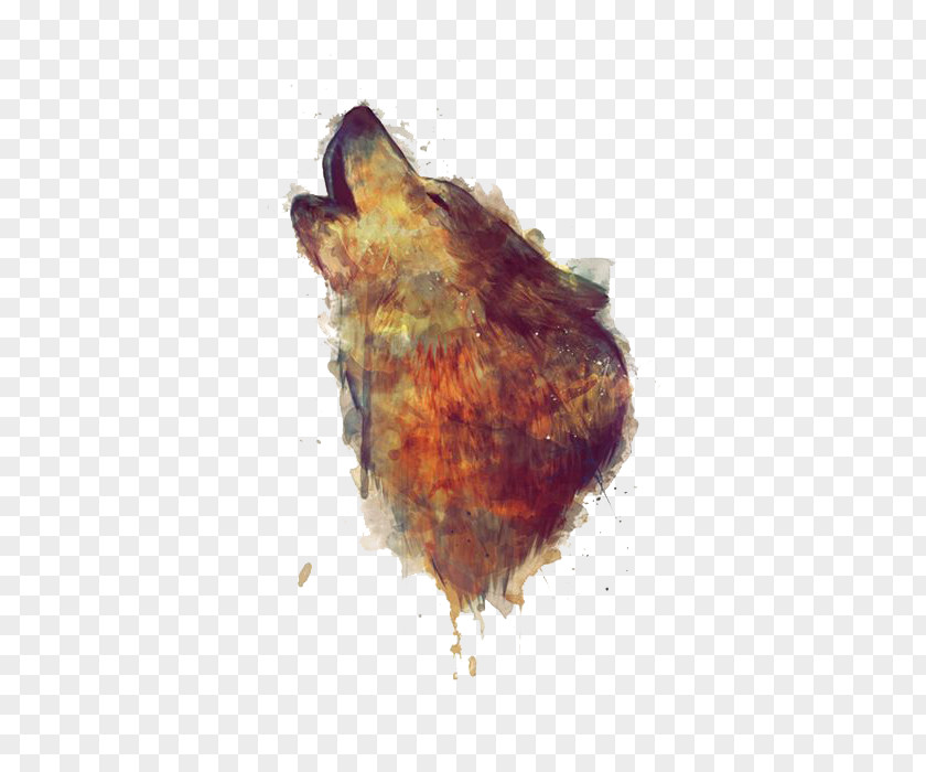 Watercolor Wolf Printing Gray Artist Painting Illustration PNG