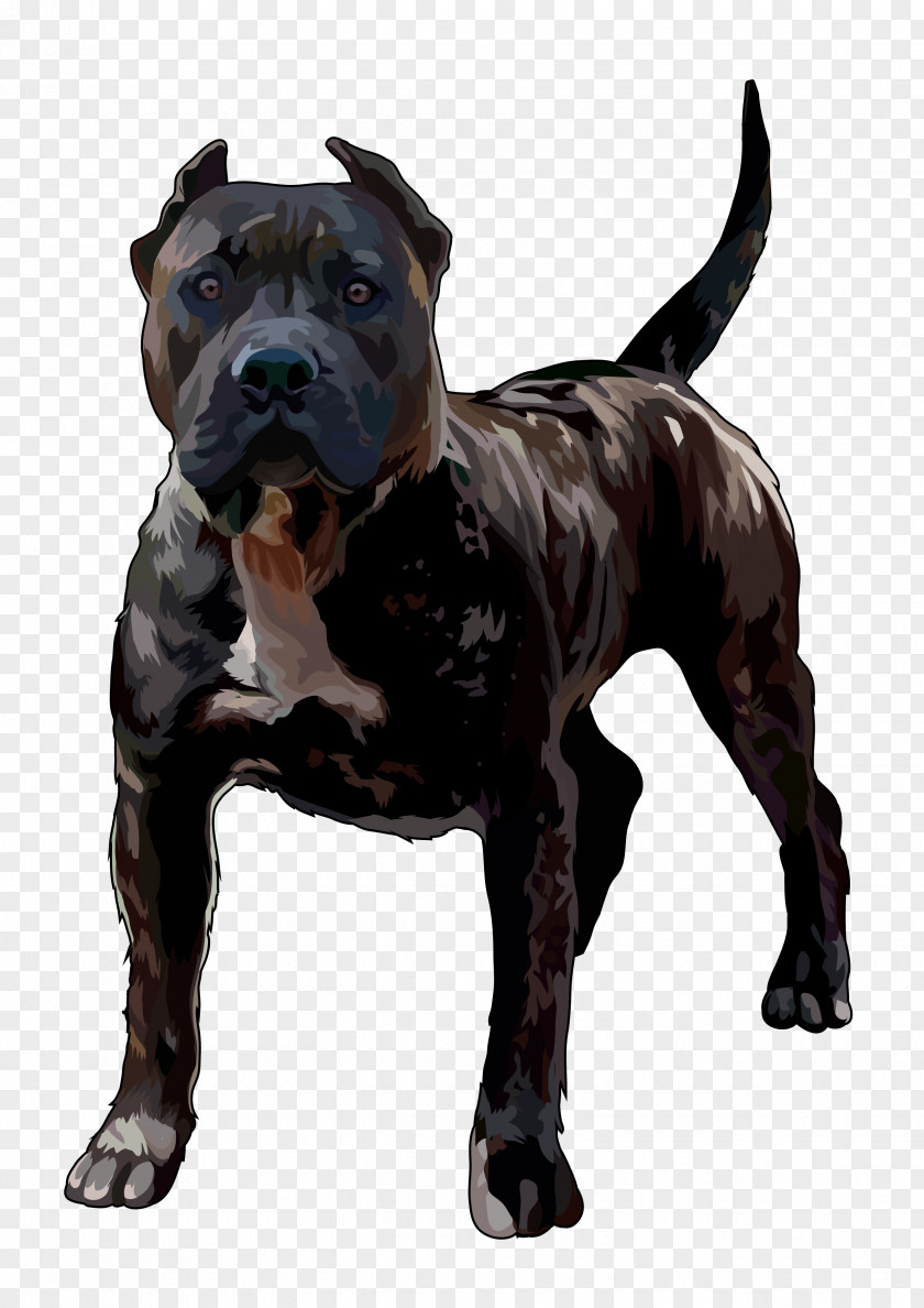 Canarias Presa Canario Dog Breed American Pit Bull Terrier PNG