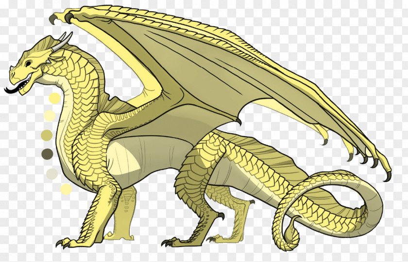Die Prophezeiung Der Drachen The Dragonet Prophecy Darkness Of Dragons Brightest NightFire Wings Fire 1 PNG