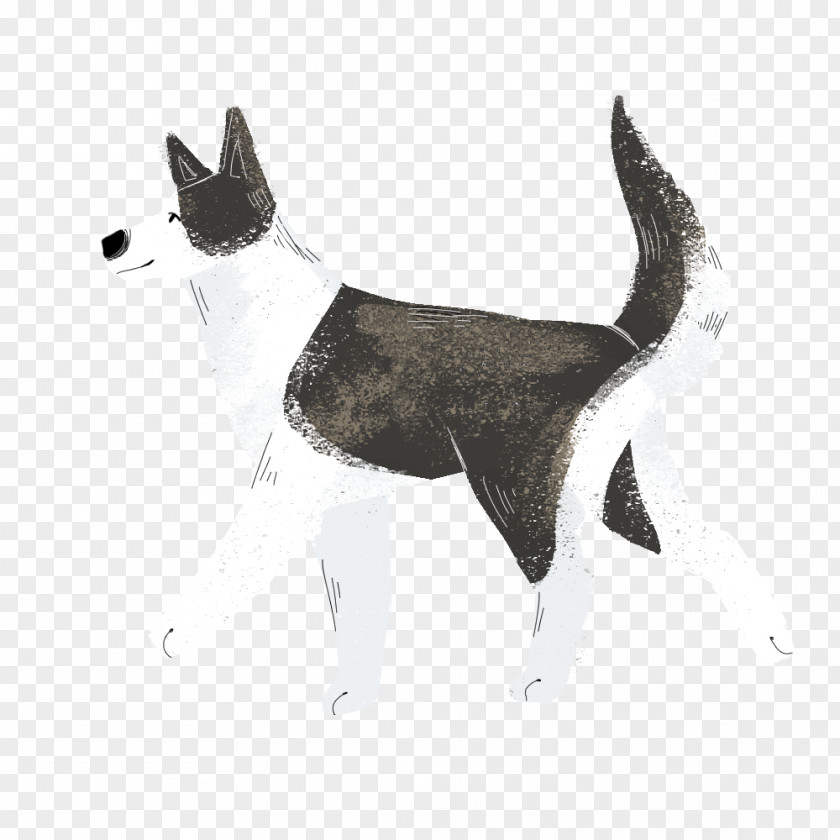 Dog Breed Fur Tail PNG