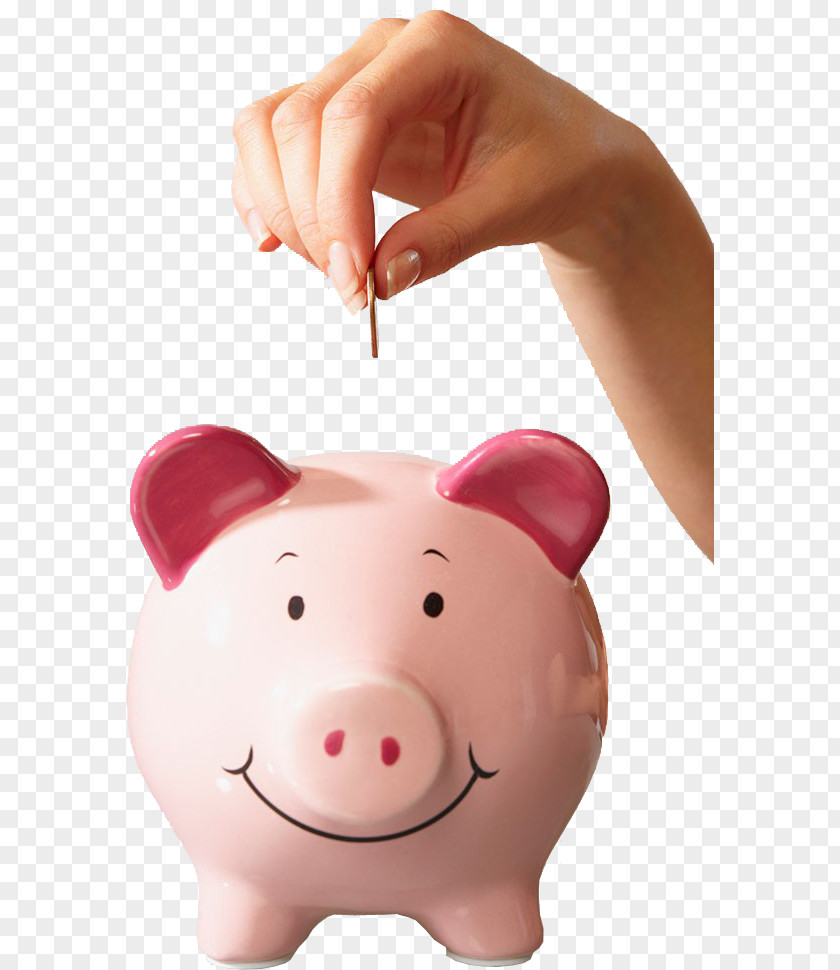 Piggy Bank Saving Money Coin Pension PNG