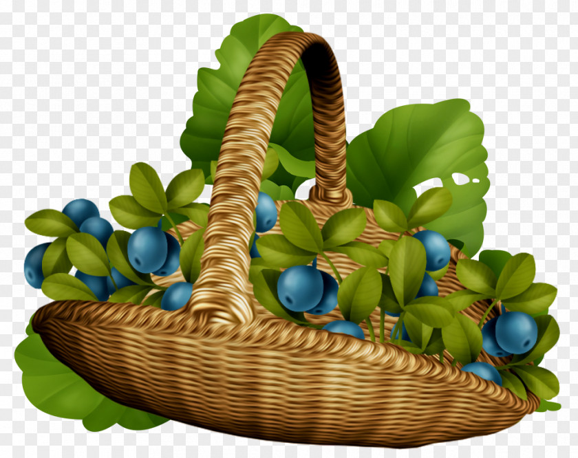 Plant Basket PNG